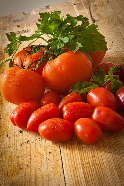 Tomate y albahaca —  Fotos de Stock