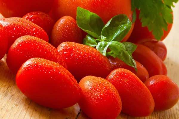 Tomat og basilikum - Stock-foto