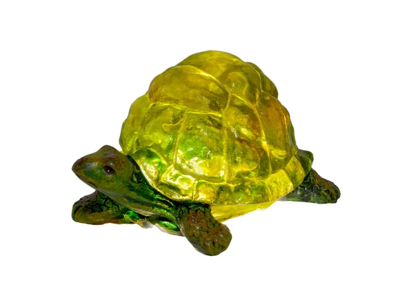 Stock image Turtle