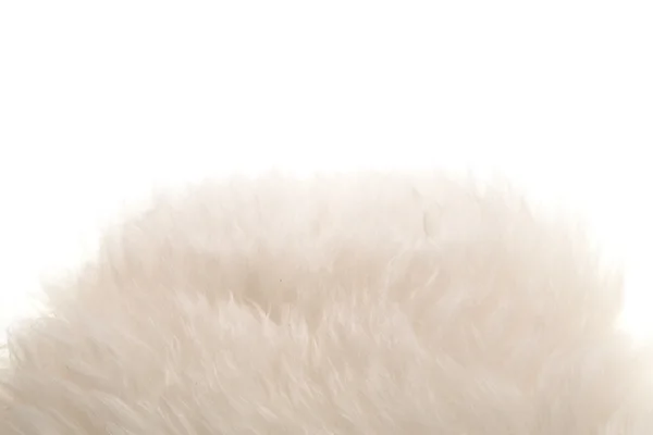 Päls bakgrund毛皮の背景 Stockfoto