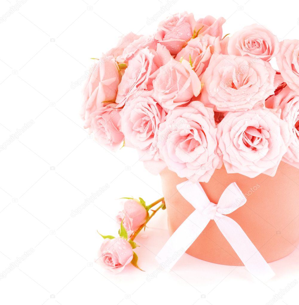 Pot of pink roses
