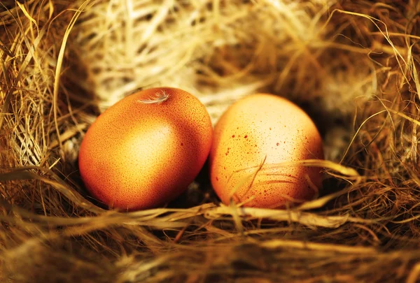 Två gyllene ägg — Stockfoto