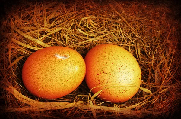 Два золотых гигантских яйца — стоковое фото