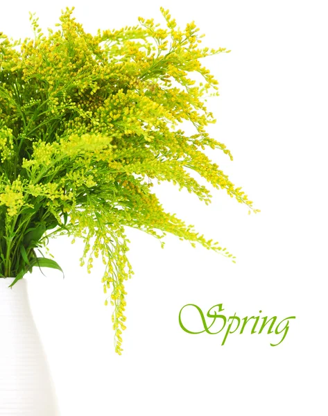Fresh green yellow spring flowers — Stock Photo, Image