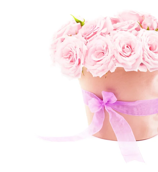 Pot of pink roses — Stock Photo, Image