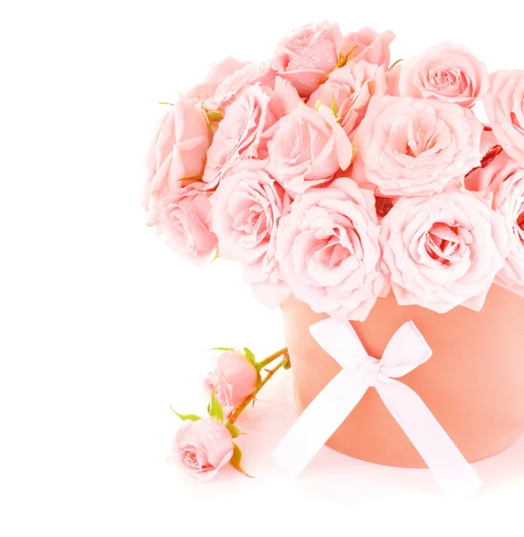 Topf mit rosa Rosen — Stockfoto