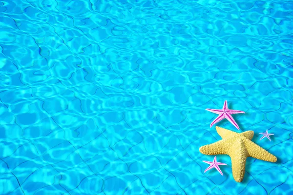 Water achtergrond met starfish — Stockfoto