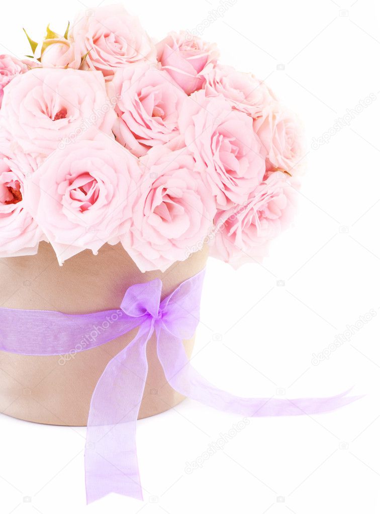 Pot of pink roses