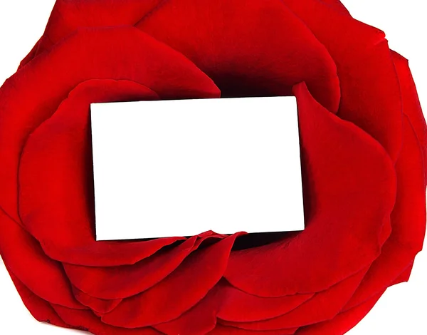 stock image Rose frame