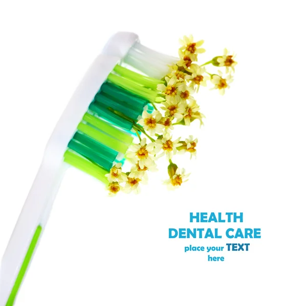 Toothbrush with flowers — Stock Photo, Image