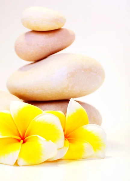 Wellness stones & bloemen — Stockfoto