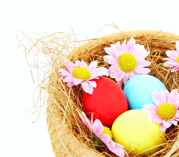 Confine con le uova di Pasqua — Foto Stock