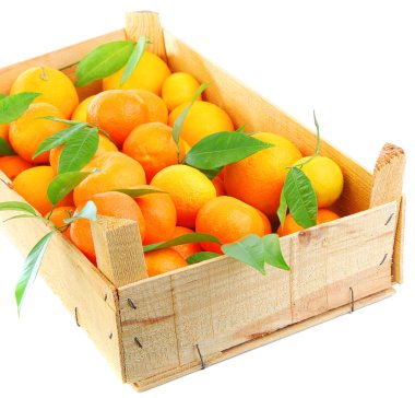 Fresh mandarins clipart