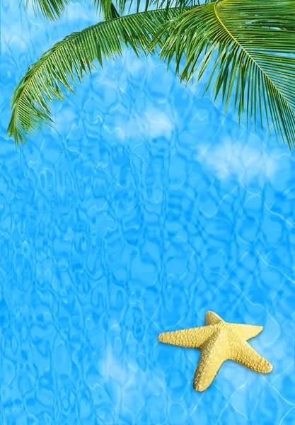 Water background with starfish — Stock Photo, Image