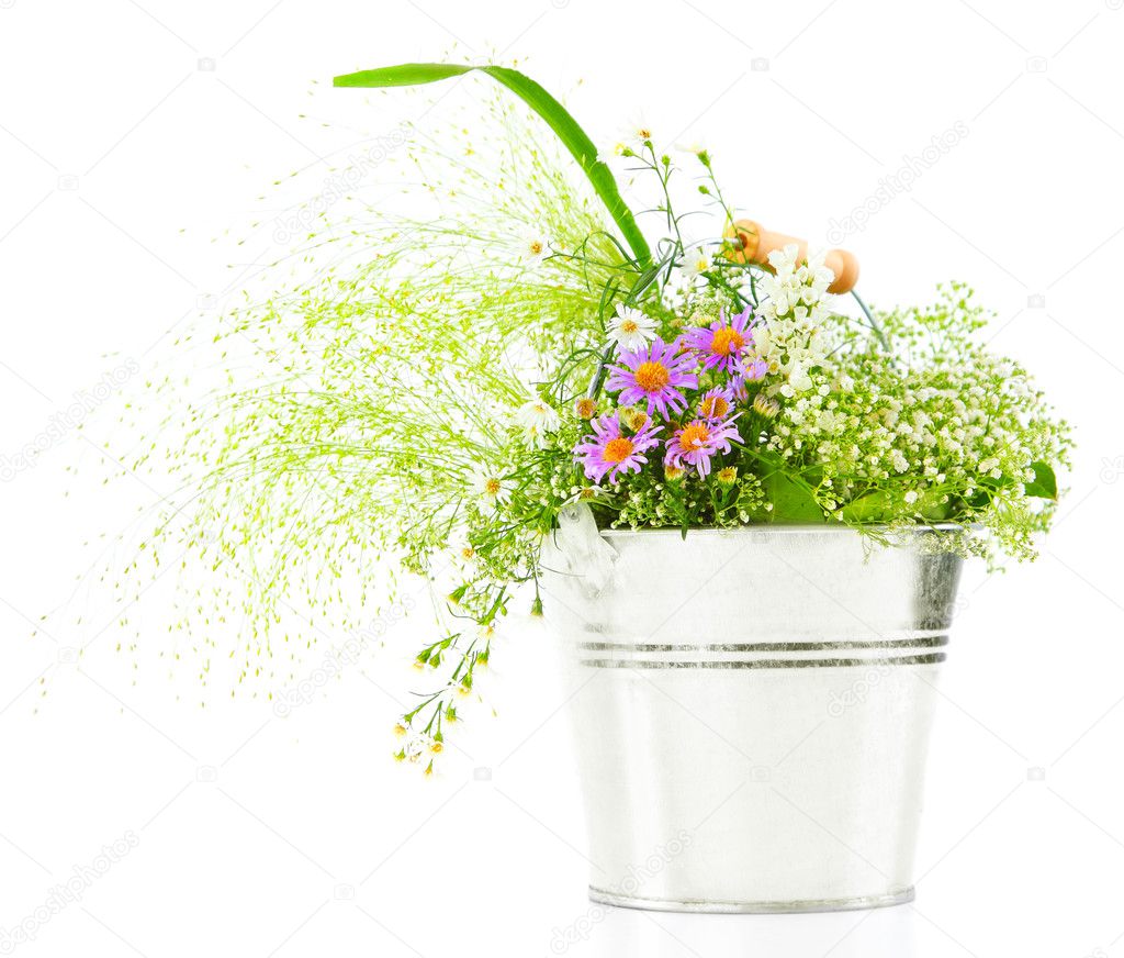 Bucket of fresh spring wild flowers