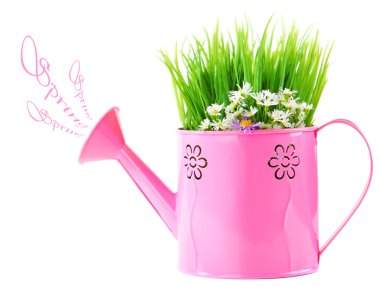 Watering can of fresh spring wild flowers clipart