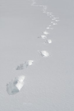 Footsteps on the snow clipart