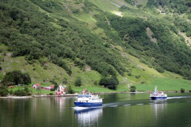 Norveç fiyortları peyzaj