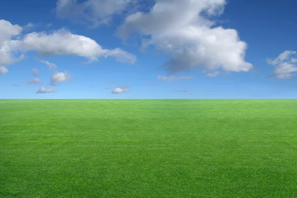 Paisagem - grama verde no fundo do céu azul — Fotografia de Stock