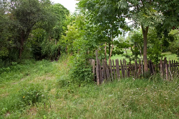 stock image Old fence in the greenery around