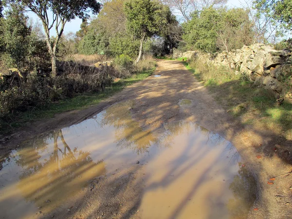 Road with puddle — Stock Photo, Image