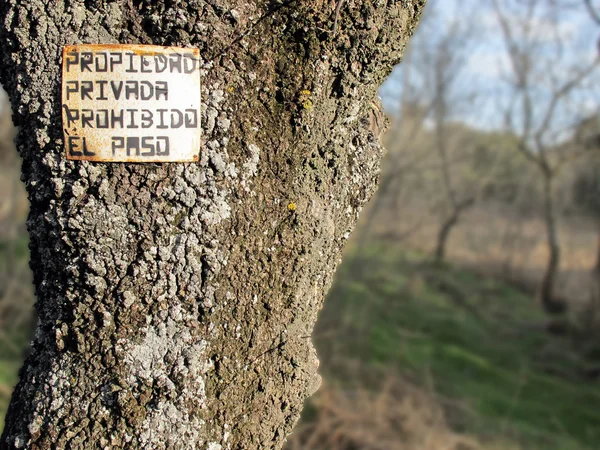 Árbol con cartel en español —  Fotos de Stock