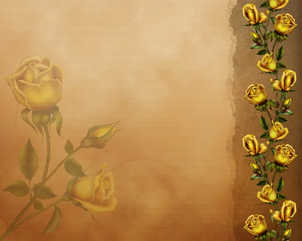 Golden Roses — Stock Photo, Image