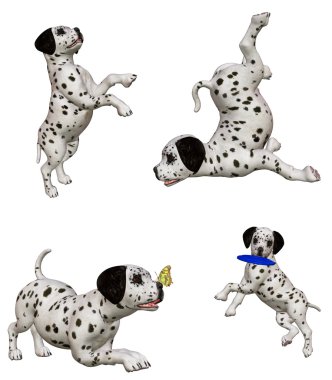 Dalmatian puppies 2 clipart