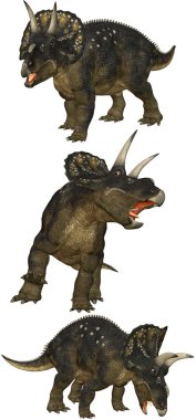 Diceratops clipart