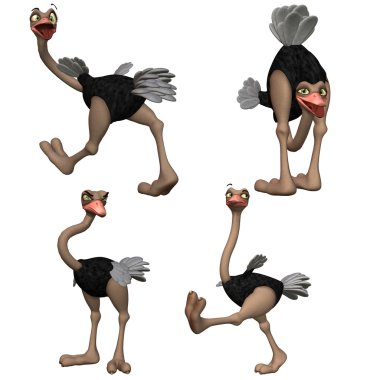 Ostrich clipart