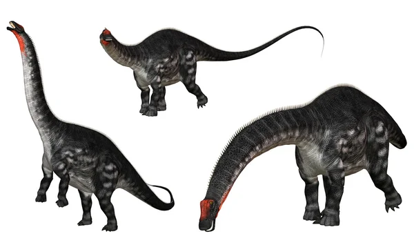 Apatosaurus — Stock Photo, Image