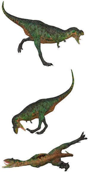2 aucasaurus — 图库照片
