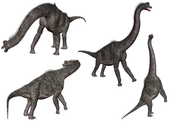 Brachiosauro — Foto Stock