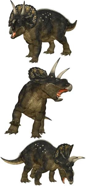 Diceratops — 스톡 사진