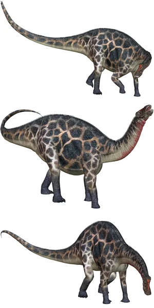 Dicraeosaurus — Φωτογραφία Αρχείου