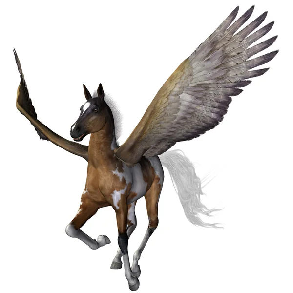 Flygande ponny — Stockfoto
