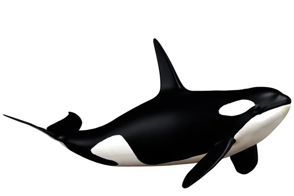 Morski wieloryb — Zdjęcie stockowe