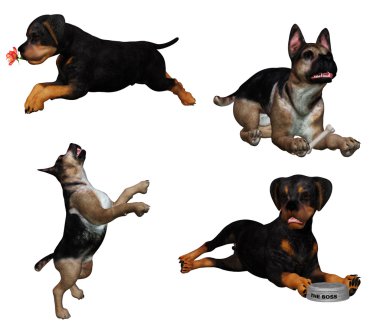 Pet puppy clipart