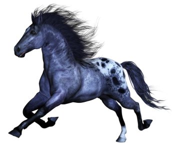 Wild horse clipart