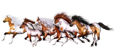 Wild horses clipart