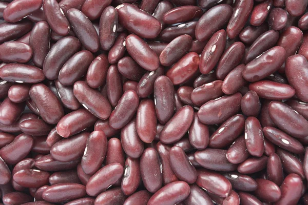 Červené fazole — Stock fotografie