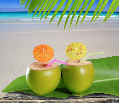 Fresh tender green coconuts straw beach cocktails clipart