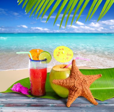 Coconuts cocktails straw tropical beach starfish clipart