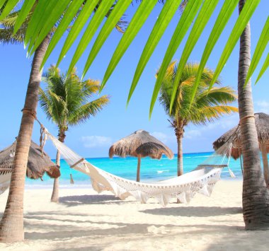 Caribbean beach hammock and palm trees clipart