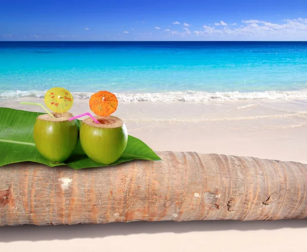 Cocktail de noix de coco à la plage turquoise des Caraïbes — Photo