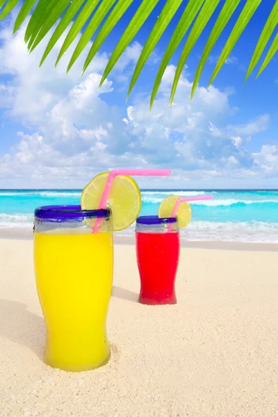 Beach tropické koktejly palm tree letáku tyrkysové pláž — Stock fotografie