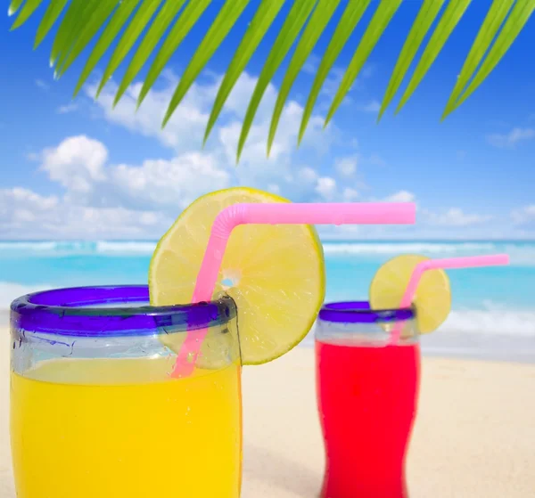 Stranden tropiska drinkar palm tree guidehäfte turkos beach — Stockfoto