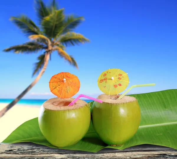 Cocktails de paille de noix de coco fraîches plage de palmiers tropicaux — Photo