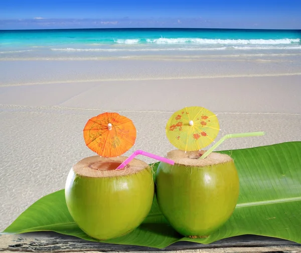 Vers inschrijving groene kokosnoten stro strand cocktails — Stockfoto