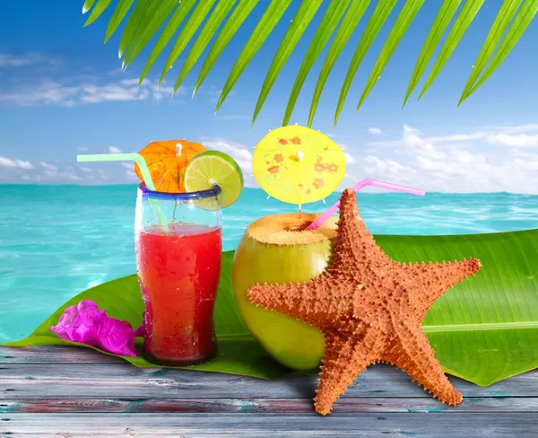 Coconuts cocktails straw tropical beach starfish — Stock Photo, Image